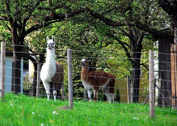 Landgasthof Waldesruh Gallspach