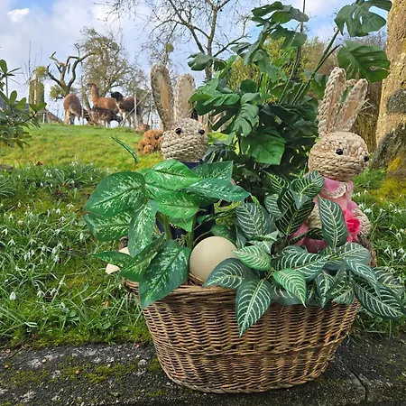 Landgasthof Waldesruh Гостевой дом