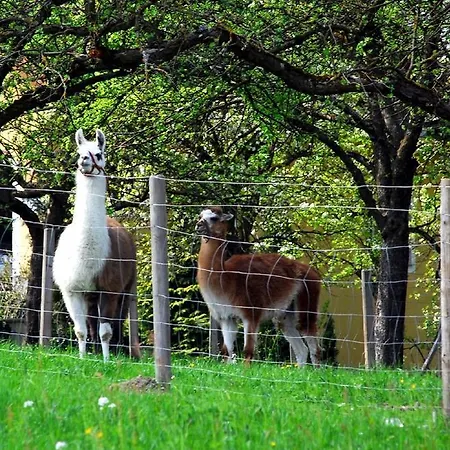 Landgasthof Waldesruh Gallspach