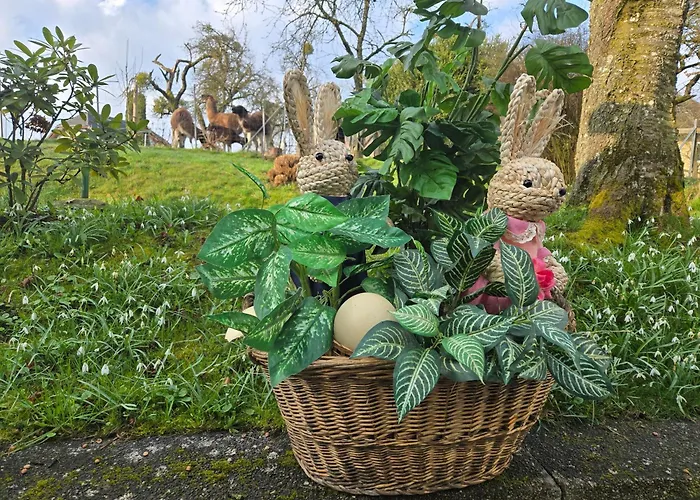 Landgasthof Waldesruh Guest house